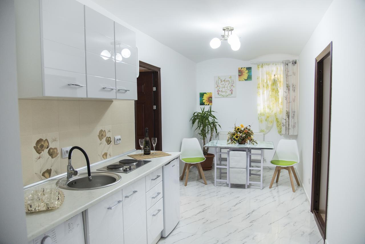 Casa Green Life Apartment Sibiu Bagian luar foto