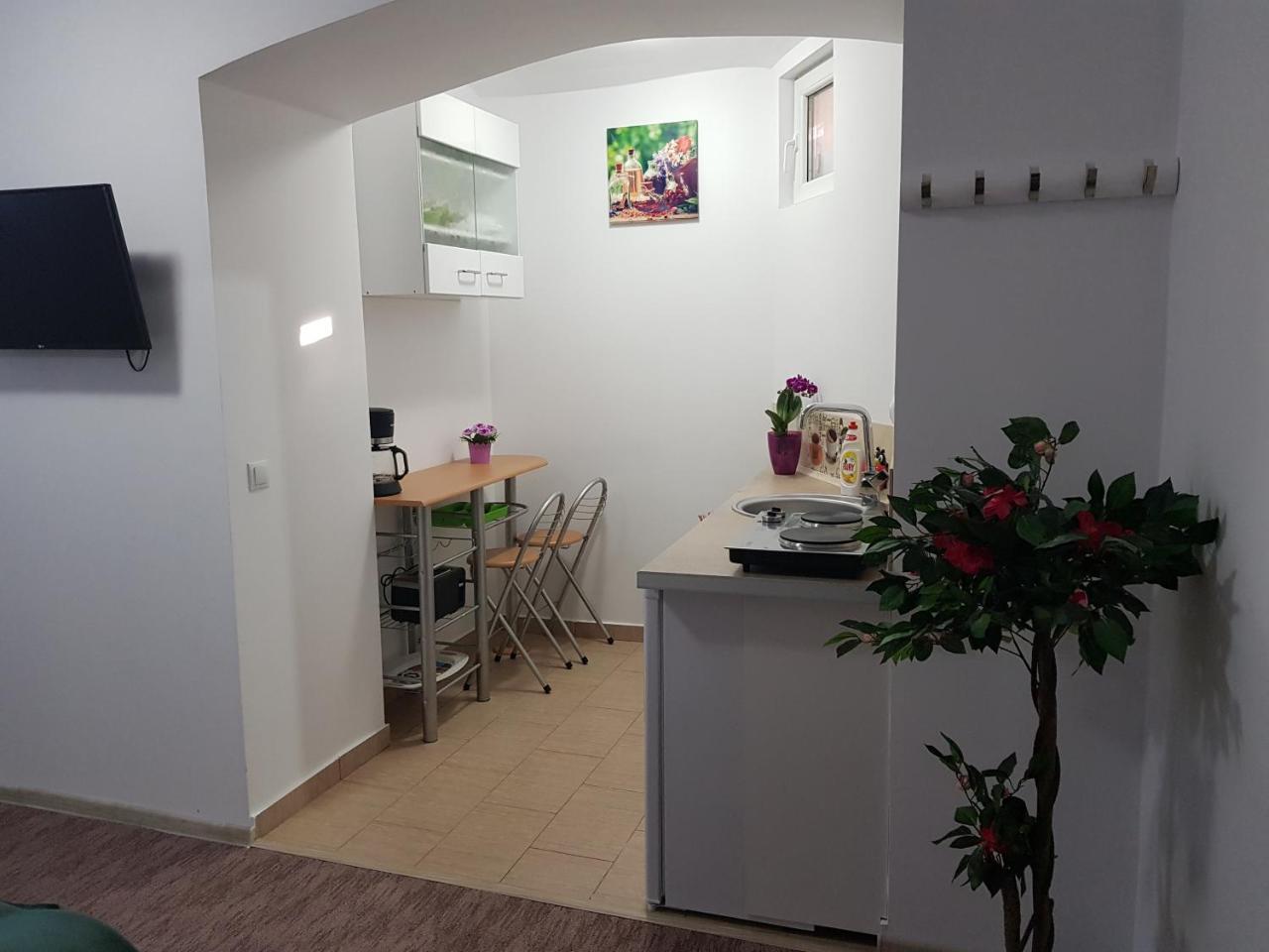 Casa Green Life Apartment Sibiu Bagian luar foto